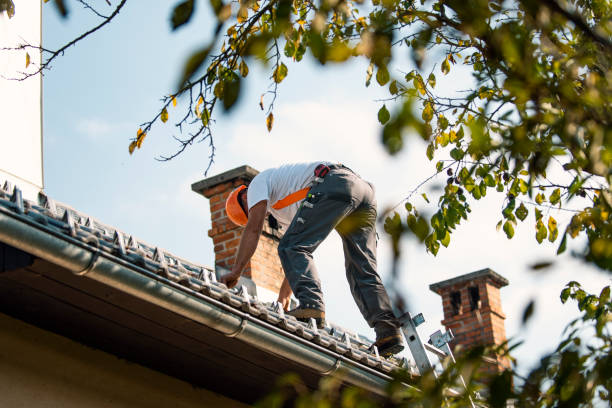 Best Chimney Flashing Repair  in Pine Castle, FL