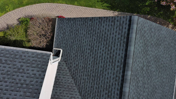 Best Roof Leak Repair  in Pine Castle, FL