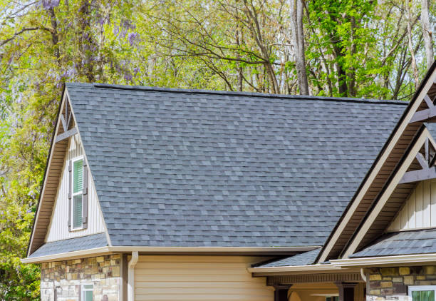Best Roof Ventilation Installation  in Pine Castle, FL