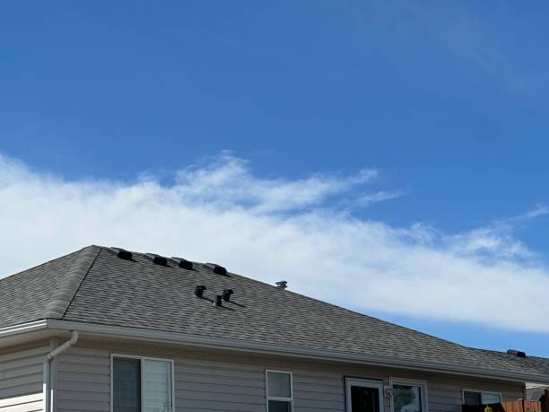 Best Roof Leak Repair  in Pine Castle, FL